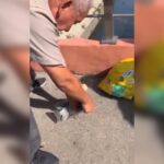 VÍDEO: homem pesca Tilápias no Canal Campos-Macaé