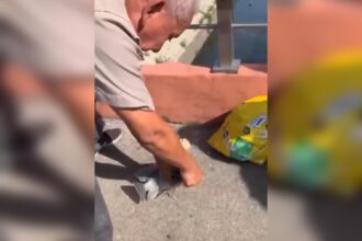 VÍDEO: homem pesca Tilápias no Canal Campos-Macaé