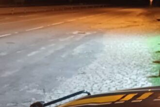 PRF prende passageiro de ônibus com mandado de prisão em aberto em Casimiro de Abreu