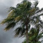 Defesa Civil emite alerta para possibilidade de ventos fortes em Campos