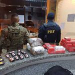 PRF apreende 15 kg de maconha e prende trio em abordagem a dois ônibus na BR-101