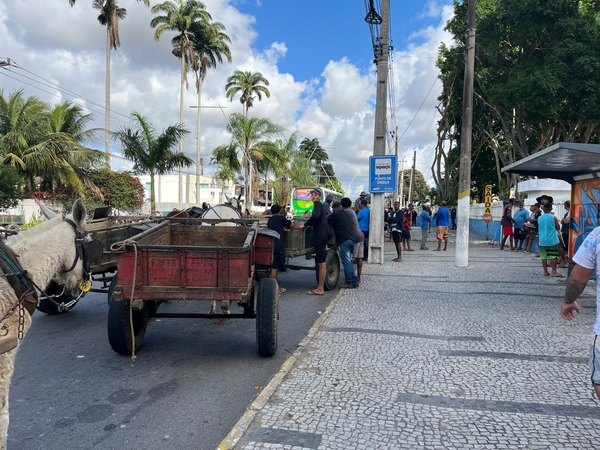 Insatisfeitos com nova lei, carroceiros realizam protesto em Campos
