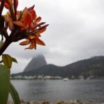 Primavera começa com chuva no Norte Fluminense