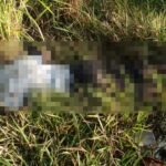 Homem é encontrado morto e com marca de tiros em Campos