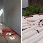 Homem que matou suspeito de invadir sua casa no Parque Aurora é preso e responderá por três crimes