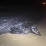 Perseguição policial em Grussaí termina com PM ferido e moto indo parar no mar