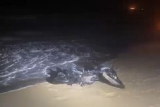 Perseguição policial em Grussaí termina com PM ferido e moto indo parar no mar