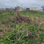 PM Ambiental localiza área degradada com cerca de 20 mil metros quadrados em Campos