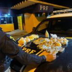 Mulher é presa dentro de ônibus com granada artesanal na BR-101, em Campos