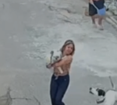 Cão persegue e ataca mulher em rua de Campos