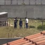 Pitbull é recolhido após matar galinhas em Atafona