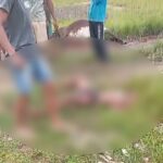 Motociclista é socorrido em estado grave após atropelar vaca em Campos