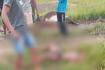 Motociclista é socorrido em estado grave após atropelar vaca em Campos