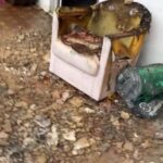 Emocionada, moradora mostra como ficou residência que pegou fogo em Campos e inicia vakinha