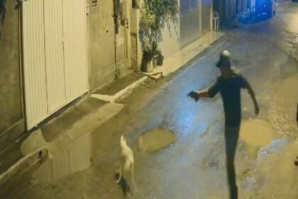 Homem que matou cachorro do vizinho a tiros é preso pela Polícia Civil