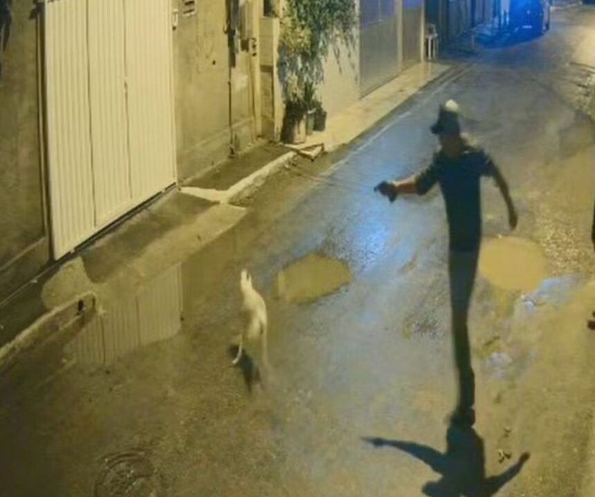 Homem que matou cachorro do vizinho a tiros é preso pela Polícia Civil