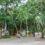 Horto Municipal e Morro do Itaoca irão passar por revitalização