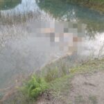 Mulher é encontrada morta em Campos