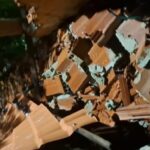 Fortes chuvas em Campos derrubam muro de abrigo de animais e cães fogem