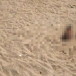 Corpo é encontrado parcialmente enterrado na Praia do Farol