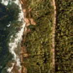 Governo Federal lança pacote de R$ 151,8 milhões para restaurar o maior bioma do país; iniciativa começará no Norte Fluminense