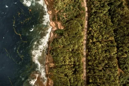 Governo Federal lança pacote de R$ 151,8 milhões para restaurar o maior bioma do país; iniciativa começará no Norte Fluminense