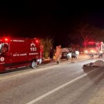 Acidente em SJB deixa animal morto e homem ferido