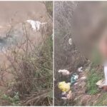 Jovens são flagrados arremessando pedras em capivara às margens do Rio Paraíba, em Campos