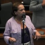 Carla Machado cobra regulamentação de leis aprovadas na Alerj e pede urgência ao Governo do Estado