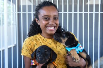 Canil do CCZ tem quase 40 animais disponíveis para adoção em Campos