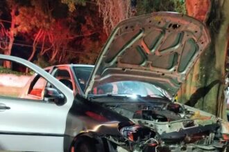 Motorista fica ferida após colidir com árvore em Campos