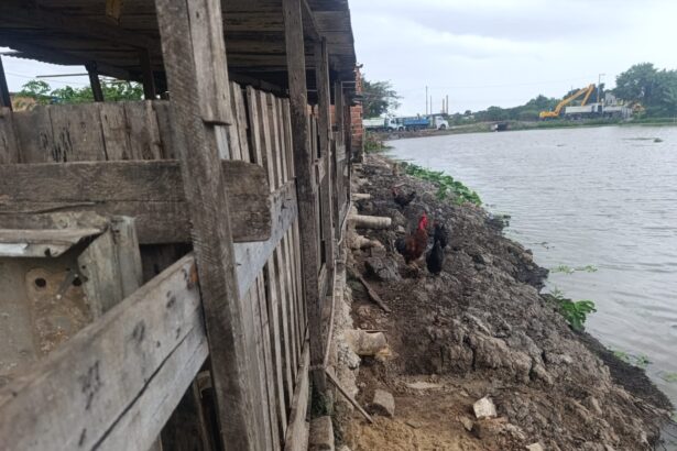 Polícia ambiental identifica chiqueiro ilegal às margens do Rio Paraíba do Sul em Campos