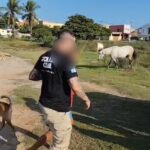 Polícia Civil prende acusado de agredir homem por ciúmes da companheira na praia do Farol