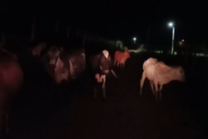 Com condições precárias, estrada em Cardoso Moreira causa temor na população