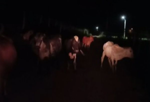 Com condições precárias, estrada em Cardoso Moreira causa temor na população