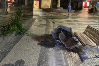 Motorista sem CNH ‘invade’ calçadão do Centro de Campos e derruba vaso de plantas