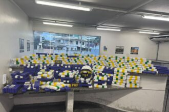 PRF apreende mais de 200 kg de maconha dentro caminhão em Campos