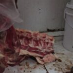 Vigilância Sanitária apreende mais de 885 kg de alimentos impróprios para consumo em supermercado de Guarus