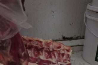 Vigilância Sanitária apreende mais de 885 kg de alimentos impróprios para consumo em supermercado de Guarus