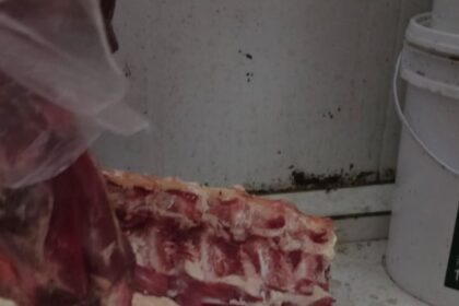 Vigilância Sanitária apreende mais de 885 kg de alimentos impróprios para consumo em supermercado de Guarus
