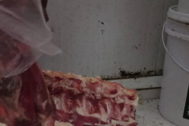 Vigilância Sanitária apreende mais de 885 kg de alimentos impróprios para consumo em supermercado de Guarus