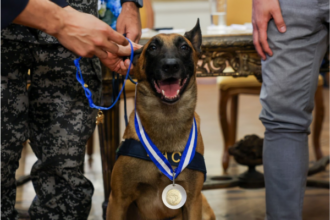 Medalha Tirandentes é entregue para Cão Hulk por atuação na maior apreensão de drogas do Rio
