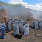 Oito toneladas de carvão são apreendidas em uma carvoaria clandestina em Campos