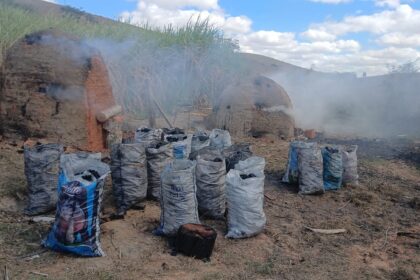 Oito toneladas de carvão são apreendidas em uma carvoaria clandestina em Campos