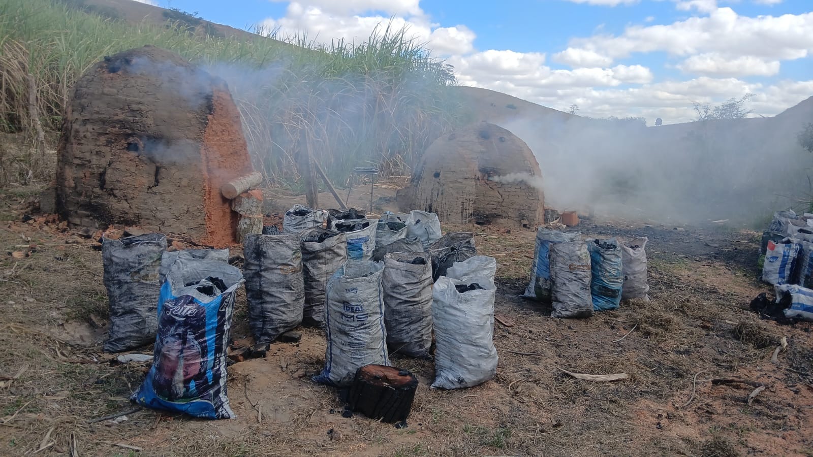 Oito toneladas de carvão são apreendidas em uma carvoaria clandestina em Campos