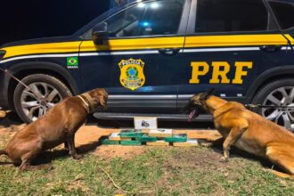 Mulher que levaria drogas para Campos é presa dentro de ônibus na Serra das Araras