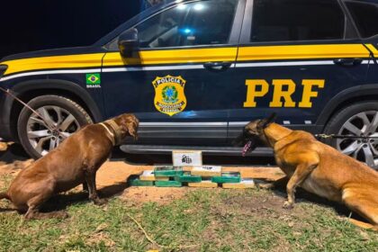 Mulher que levaria drogas para Campos é presa dentro de ônibus na Serra das Araras