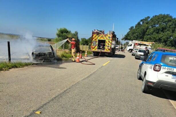 Criança e motorista morrem após carro colidir contra poste e pegar fogo em Quissamã