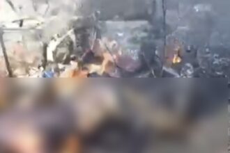 Corpo carbonizado é encontrado em área de mata, em Campos