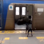 Bezerro invade estação de Japeri e assusta passageiros